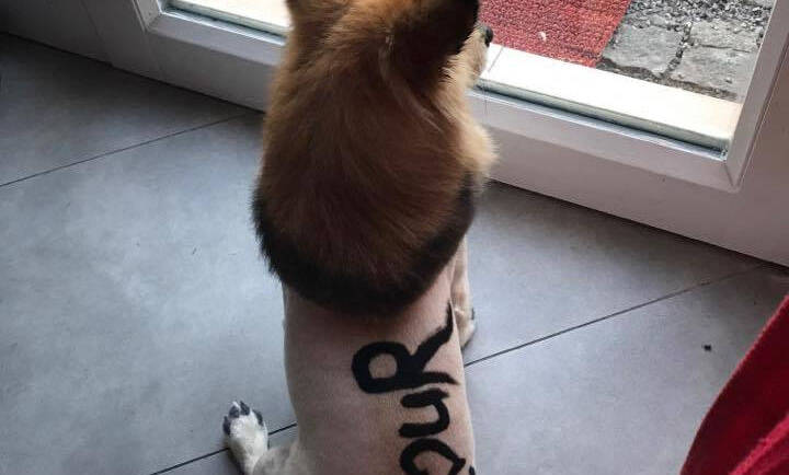 Když ho miluješ, není co řešit