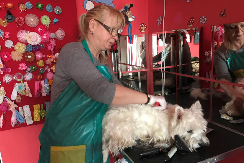 Trimování