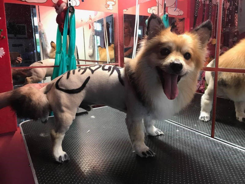 Painting the font on fur