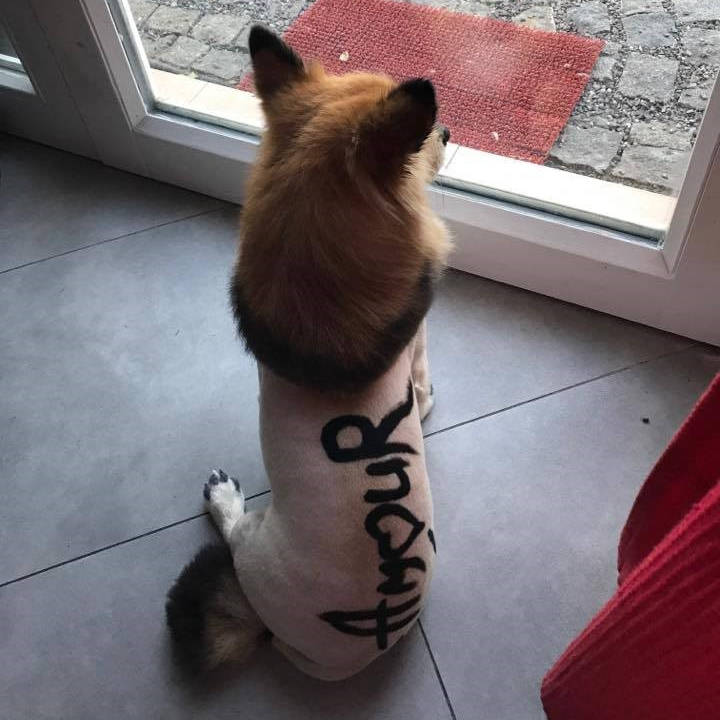 Painting the font on fur 2