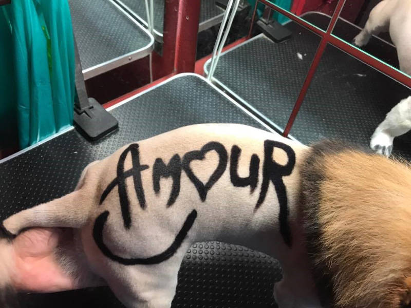 Painting the font on fur 2a