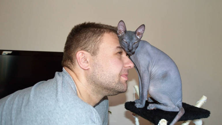 Donský sphynx obr. 15