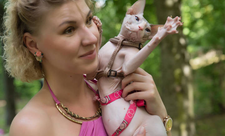 Donský sphynx obr. 7