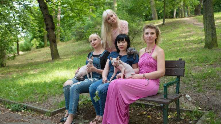 Donský sphynx obr: 2