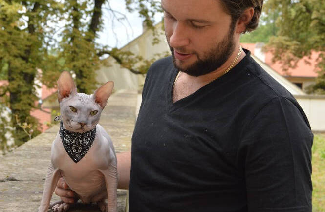 Donský sphynx obr. 14