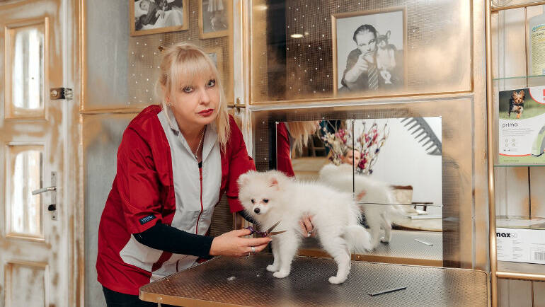 Otevřeli jsme nový luxusní salon pro psy a kočky Petgrooming Company