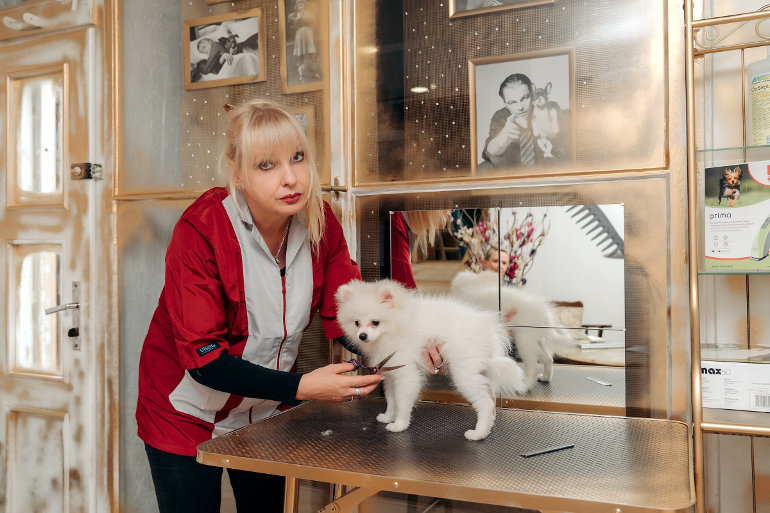 Otevřeli jsme nový luxusní salon pro psy a kočky Petgrooming Company