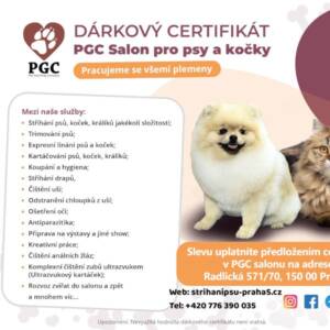 Dárkový certifikát Praha